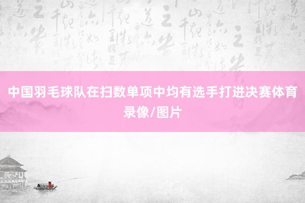 中国羽毛球队在扫数单项中均有选手打进决赛体育录像/图片