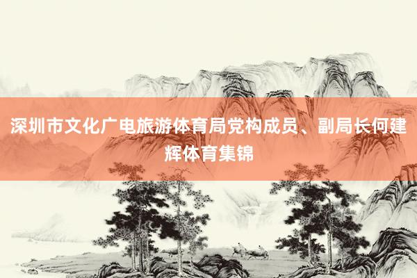 深圳市文化广电旅游体育局党构成员、副局长何建辉体育集锦