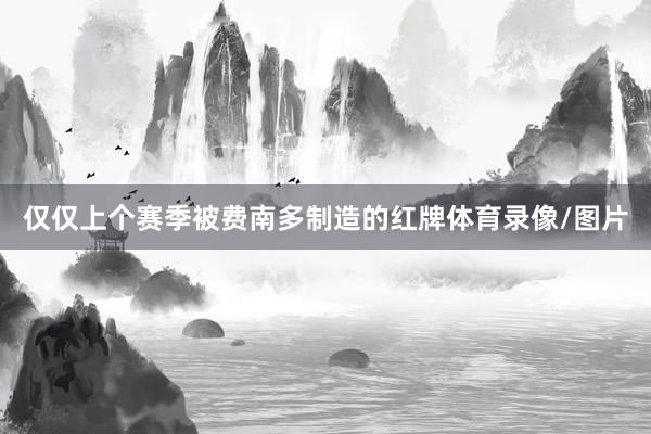 仅仅上个赛季被费南多制造的红牌体育录像/图片