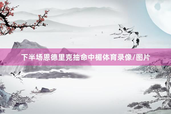 下半场恩德里克抽命中楣体育录像/图片