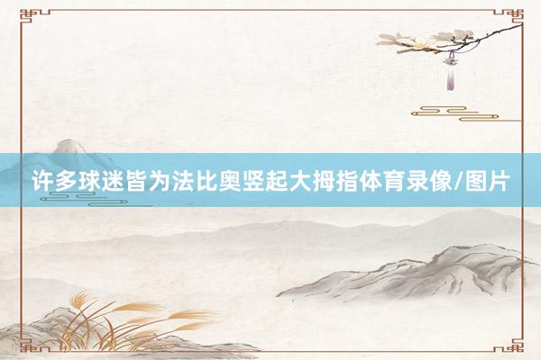 许多球迷皆为法比奥竖起大拇指体育录像/图片