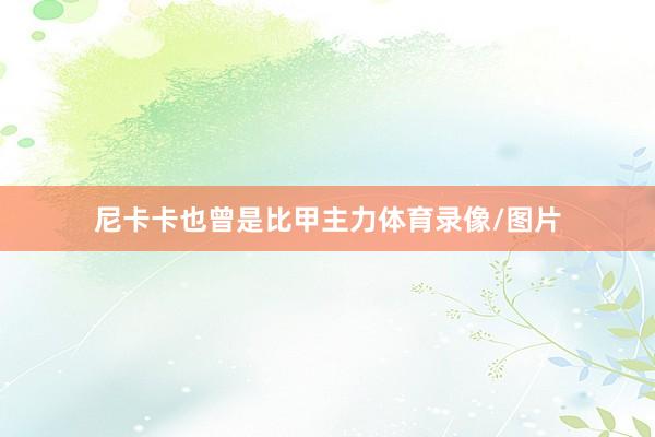尼卡卡也曾是比甲主力体育录像/图片