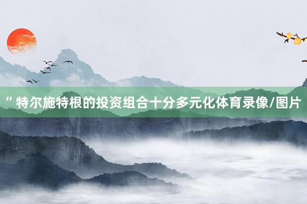 ”特尔施特根的投资组合十分多元化体育录像/图片
