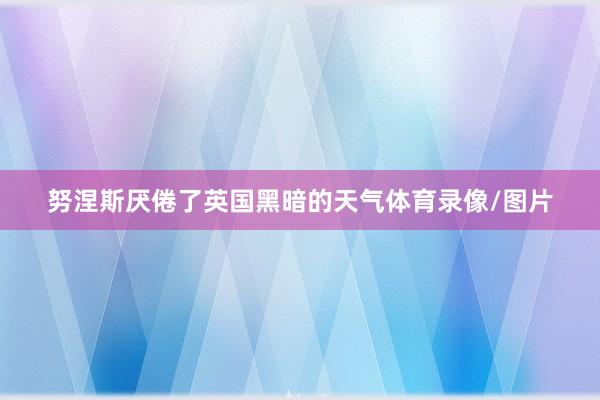 努涅斯厌倦了英国黑暗的天气体育录像/图片